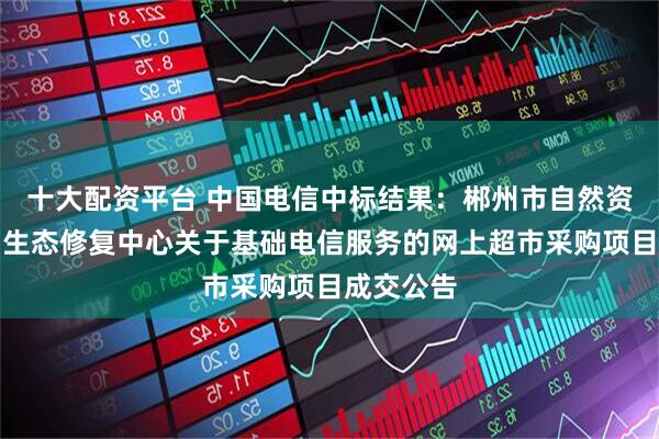十大配资平台 中国电信中标结果：郴州市自然资源监测和生态修复中心关于基础电信服务的网上超市采购项目成交公告