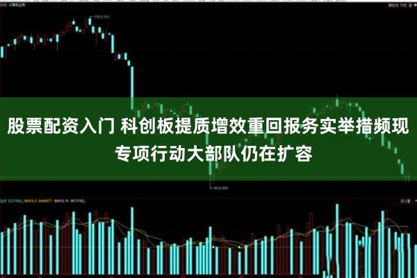 股票配资入门 科创板提质增效重回报务实举措频现  专项行动大部队仍在扩容