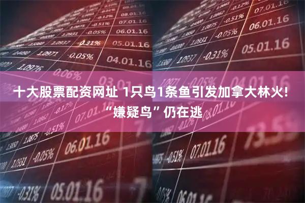 十大股票配资网址 1只鸟1条鱼引发加拿大林火! “嫌疑鸟”仍在逃